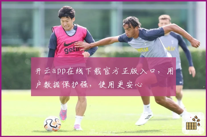 开云app在线下载官方正版入口，用户数据保护强，使用更安心