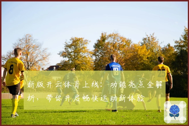 新版开云体育上线：功能亮点全解析，带你开启畅快运动新体验