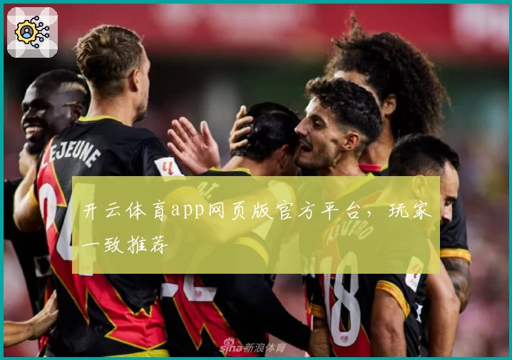 开云体育app网页版官方平台，玩家一致推荐